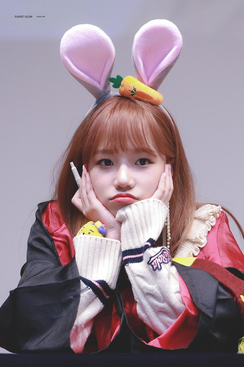 [아이즈원] 작은 댕댕 | 인스티즈