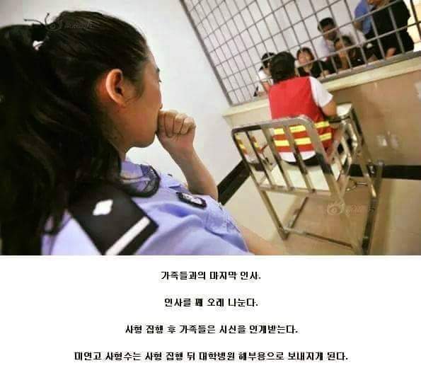 중국의 사형수 | 인스티즈