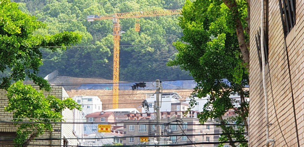 팬터하우스 이미지