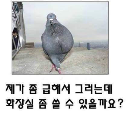 제목학원 레전드 모음.jpg | 인스티즈