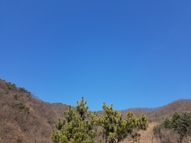 하얀하늘 이미지