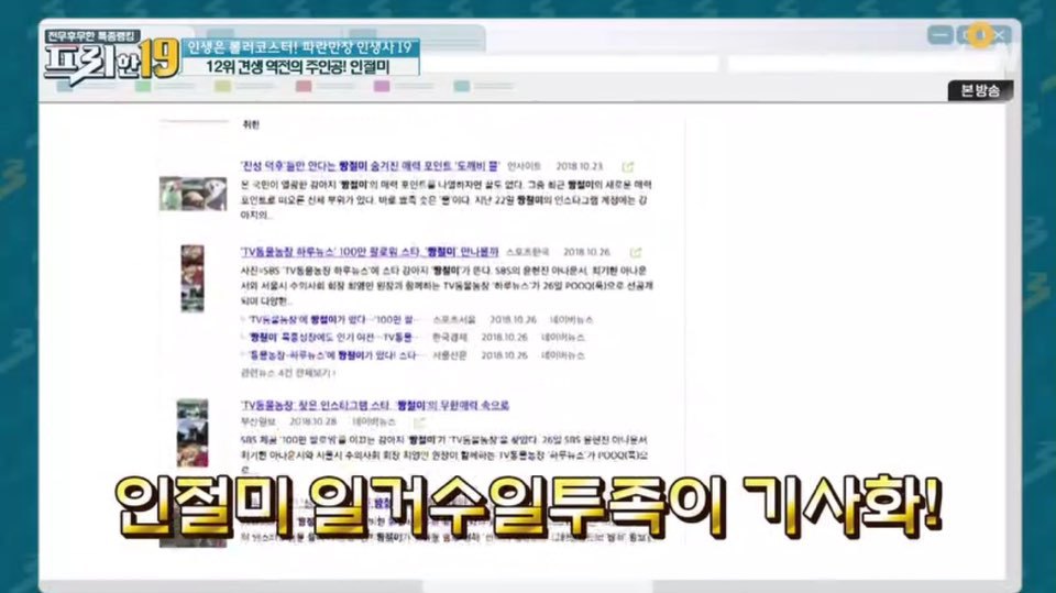 [인절미/짱절미] tvn 프리한19 견생역전의 주인공 | 인스티즈