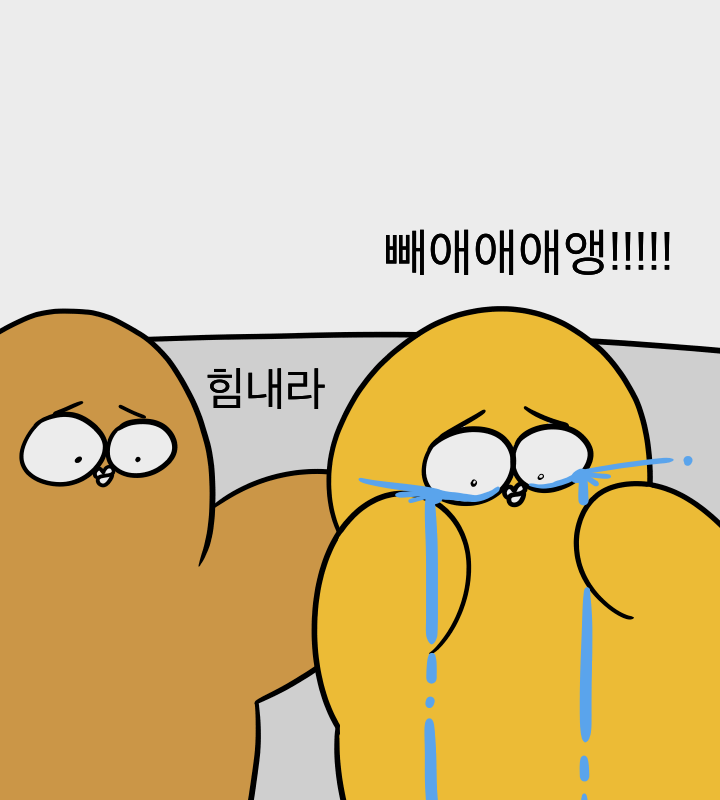 가장 많이 하는 거짓말류 | 인스티즈