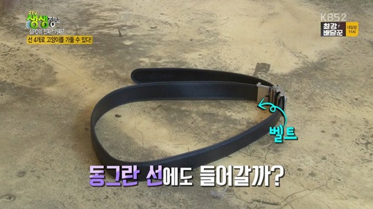 선 4개로 고양이를 가둘수 있을까?.jpgif | 인스티즈