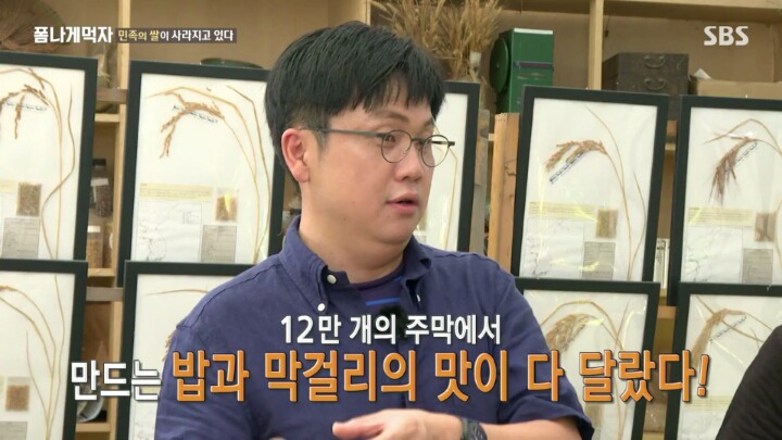 한반도의 토종 벼 품종.JPG | 인스티즈