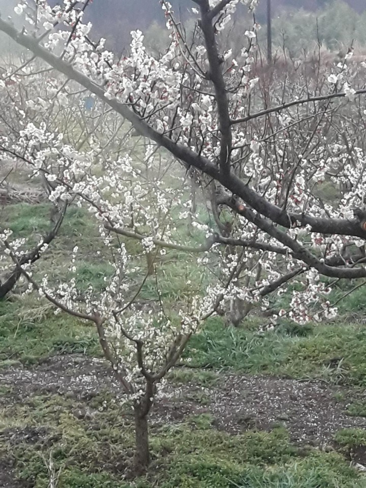 우박집 이미지