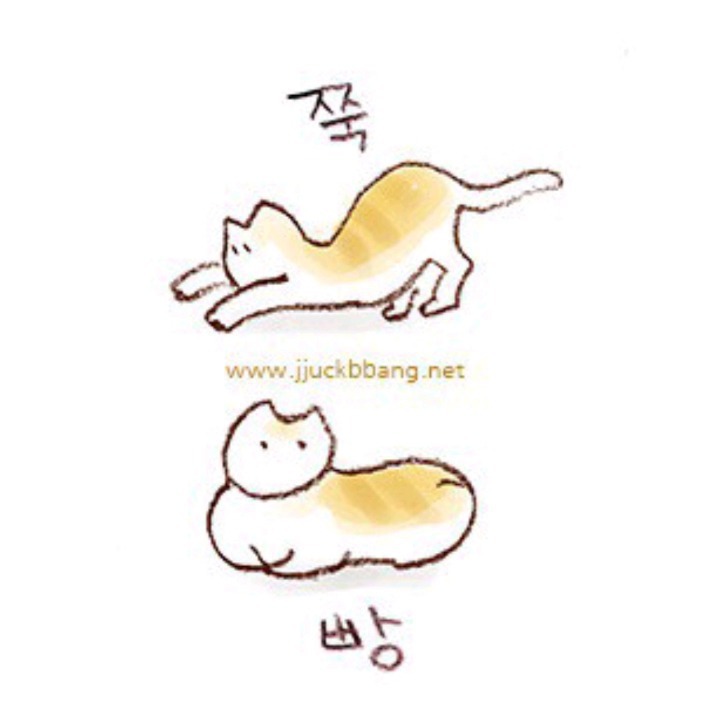 보글보글 스펀지밥 ＜마법의 소라고동 상 | 인스티즈