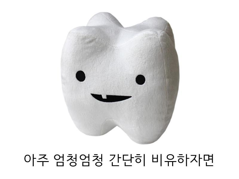 안녕하세오 치과의사에오 | 인스티즈