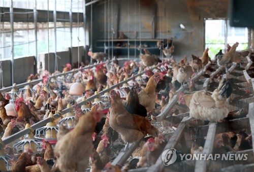 뿌리축산 이미지