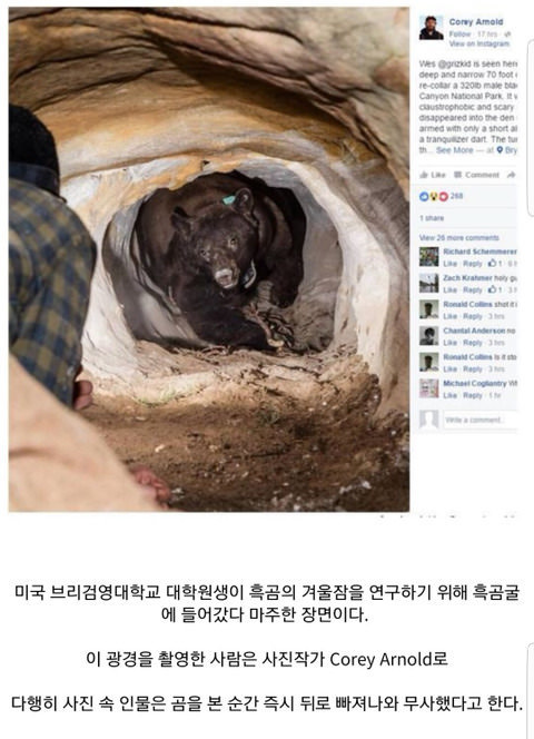 이 고기는 저희업계에서도 취급하지 않습니다.jpg | 인스티즈