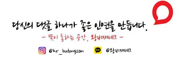 롯데SJY 이미지