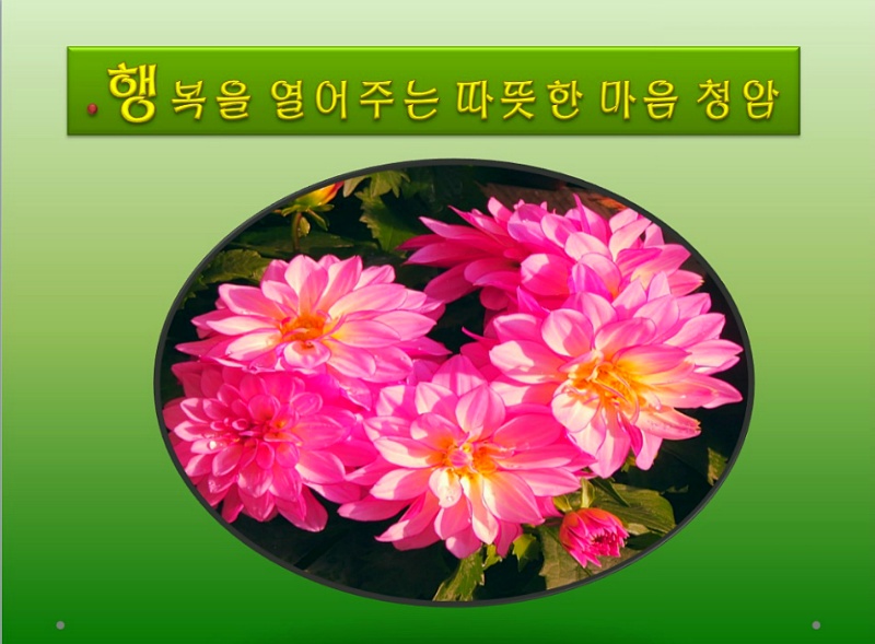 학우사 이미지