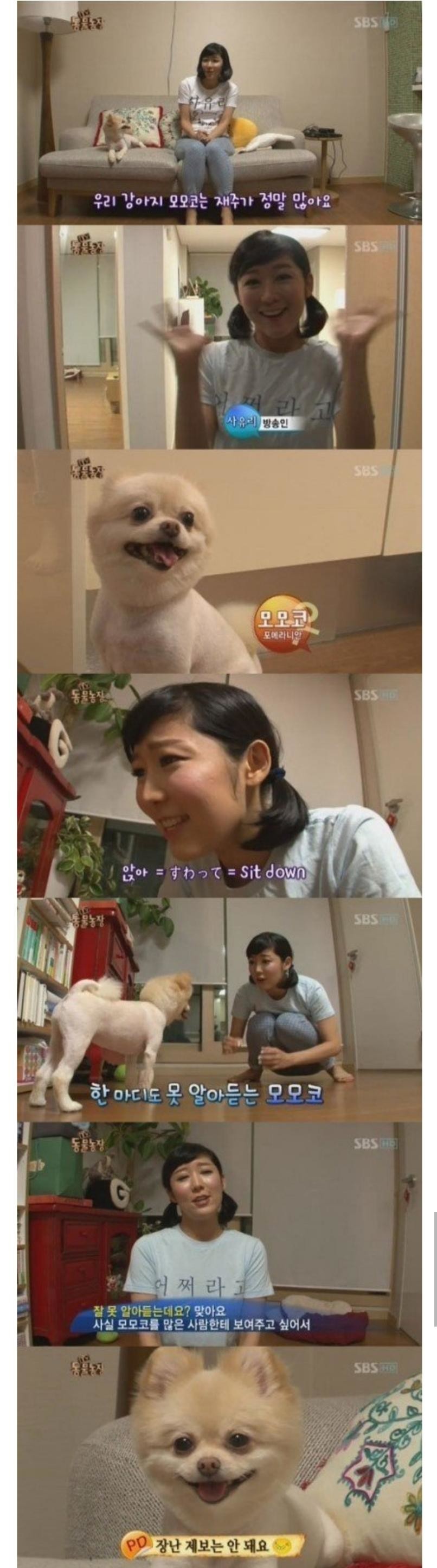 [동물농장] 장난 제보한 사유리 | 인스티즈