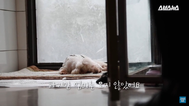  사람들이 홍대에서 인형을 뽑다 우는 이유는? | 인스티즈