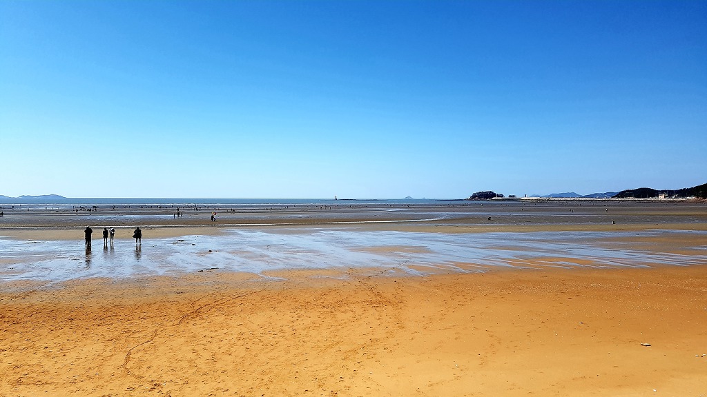 99A9D8415C97450133FD4A