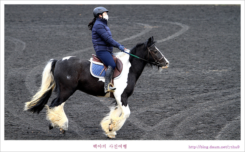 파크 이미지