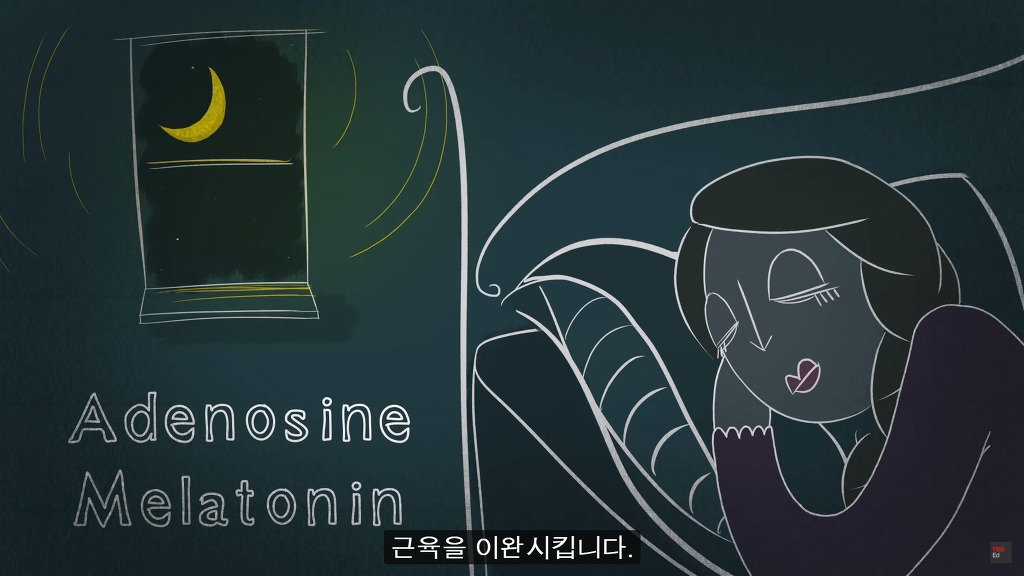 잠을 자지않는다면 우리몸에 어떠한 변화가 일어날까?.JPG | 인스티즈