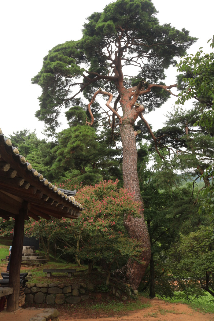 식영정 이미지