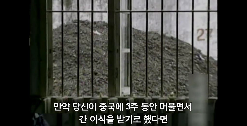 장기를 얻기 위한 살인[KilledforOrgans] | 파룬궁수련인 대상 강제 장기적출 | 인스티즈