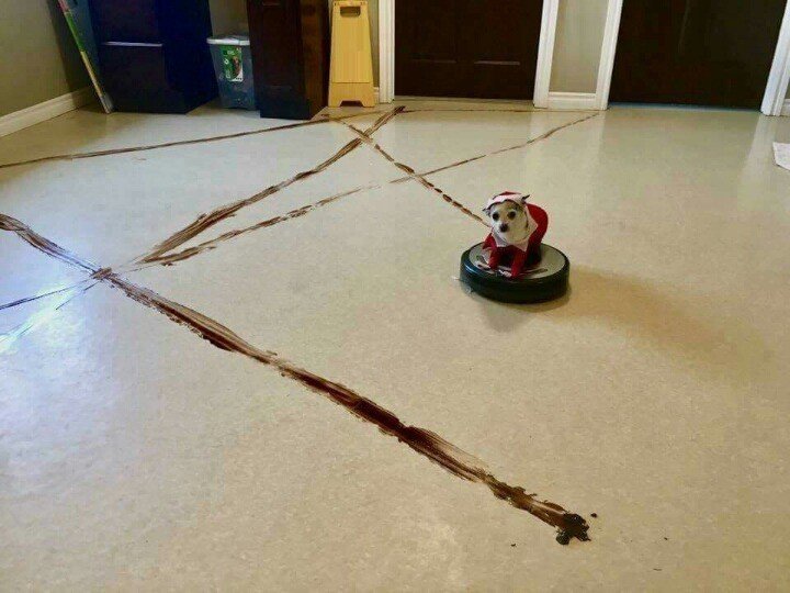 하라는 청소는 안하고.jpg | 인스티즈