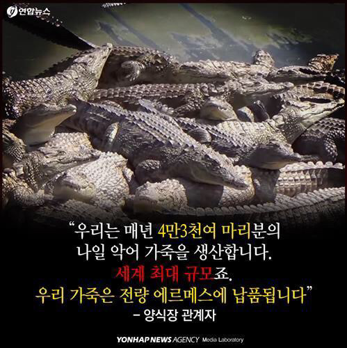 제인 버킨이 버킨백에서 자기 이름 빼달라고 한 이유.jpg | 인스티즈