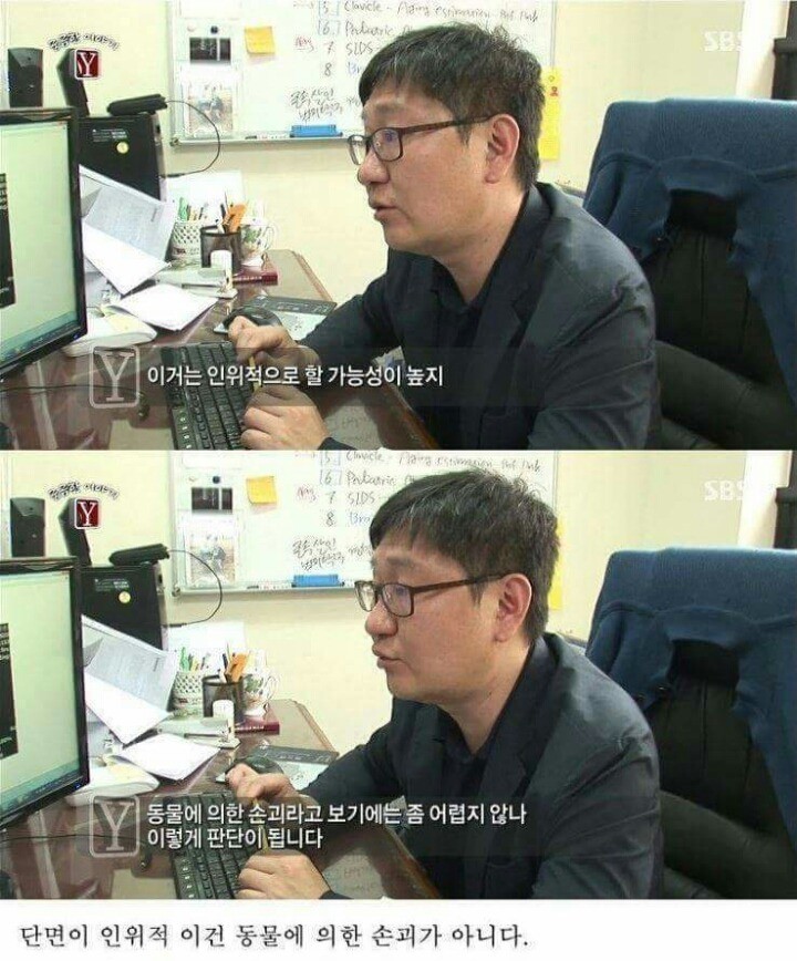 궁금한이야기Y 역대급 난제 ㄷㄷ | 인스티즈