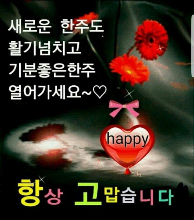 색동호박 이미지