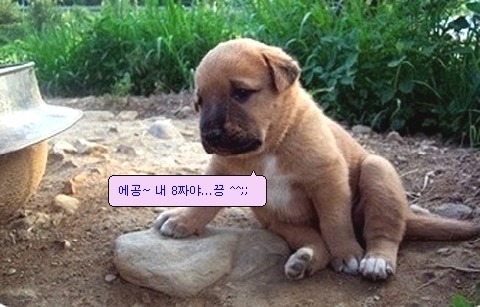에이이미지 이미지
