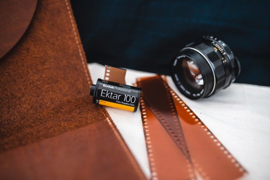  서서히 말들이 없어진다 | 인스티즈