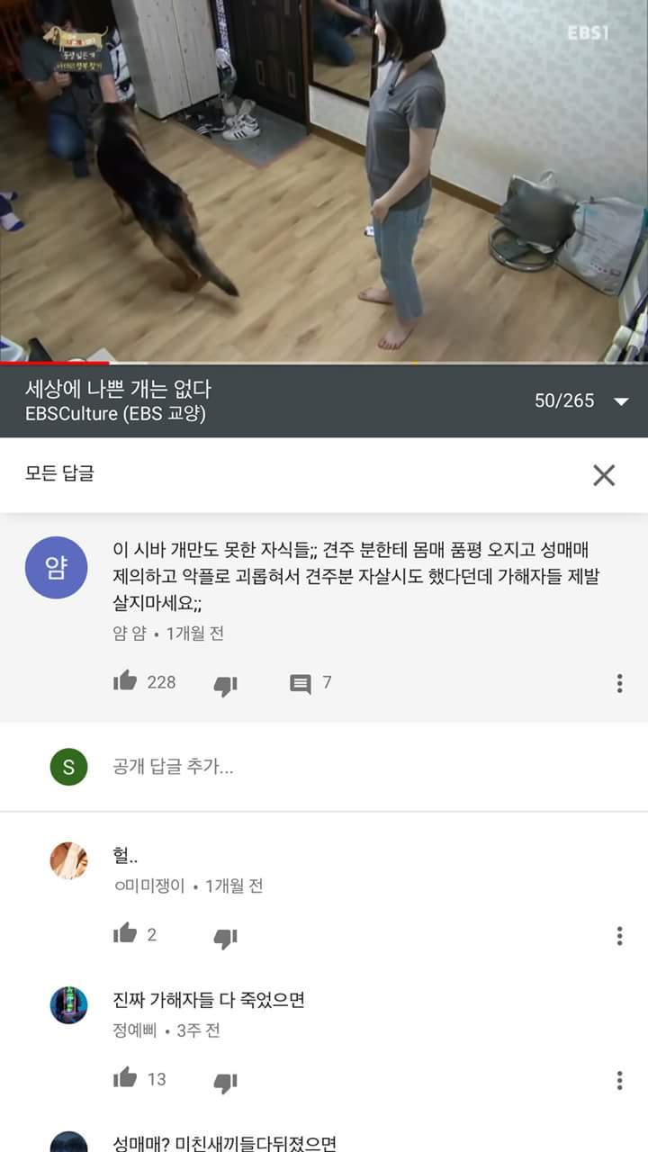 일반인 여성은 마음 편히 방송에 나오지도 못한다. (애견 방송에서조차 품평당하는 여성들) | 인스티즈