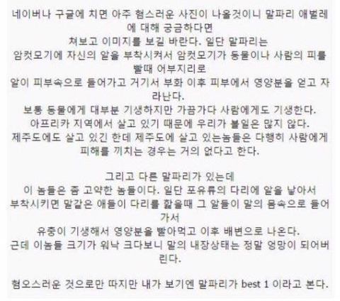 보기보다 훨씬 더 위험한 생물들 (혐오주의) | 인스티즈