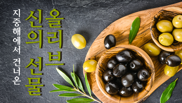 올리브 이미지