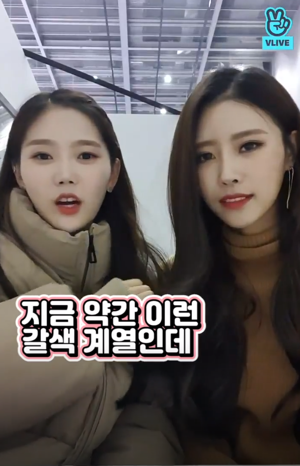 오마이걸 효정 : 야 이미주 너 왜 자꾸 내 머리 따라하니?? .jpg | 인스티즈