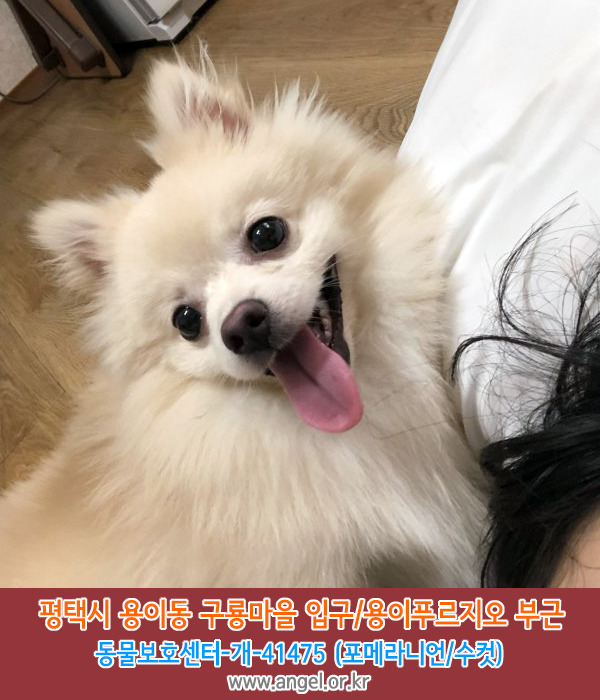 수컷 이미지