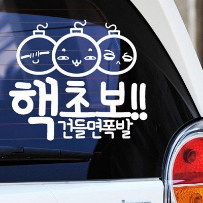 불쾌한 초보운전 딱지.JPG | 인스티즈