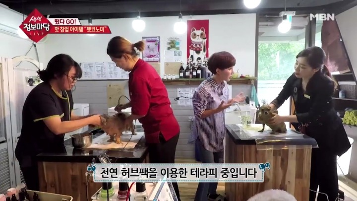 강아지 아로마테라피.jpg | 인스티즈