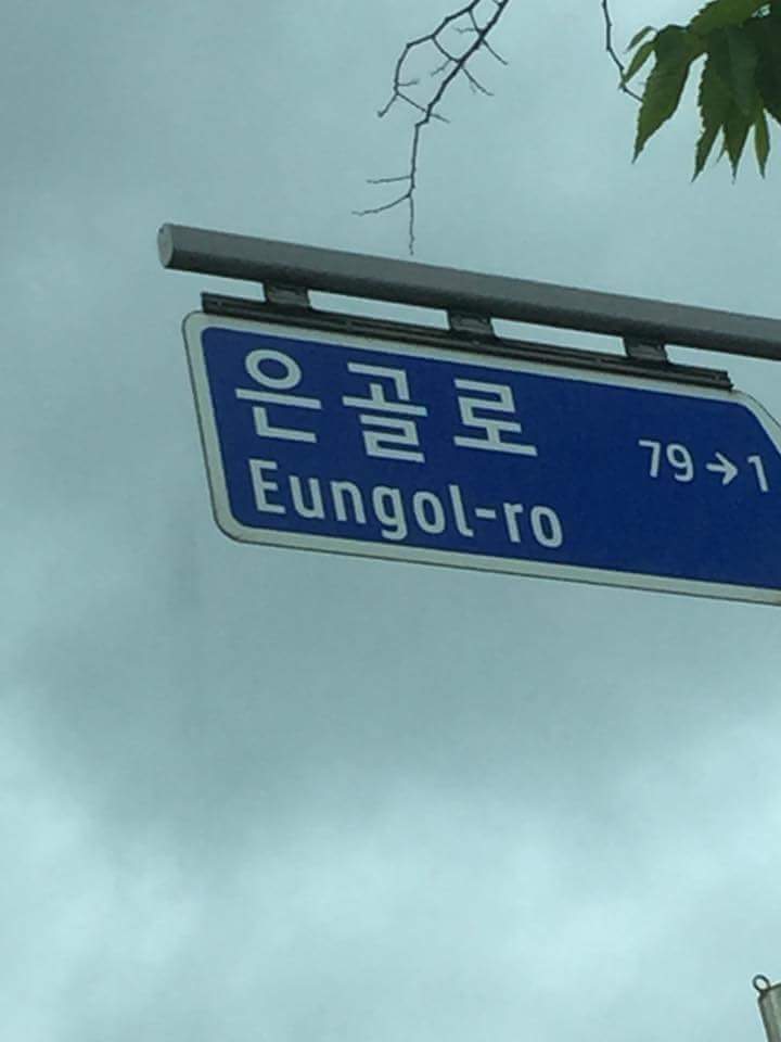 우리나라에서 가장 비싸고 귀여운길.jpg | 인스티즈
