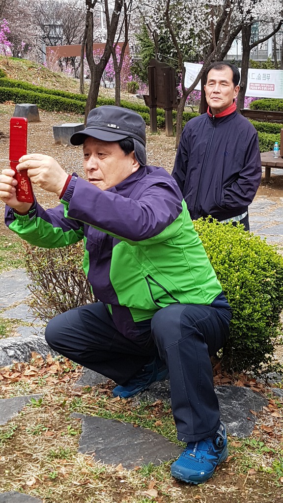 진달래까페 이미지