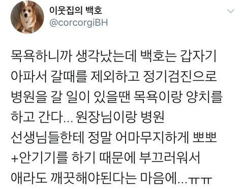댕댕이의 고정픽은 동물병원 원장님 | 인스티즈
