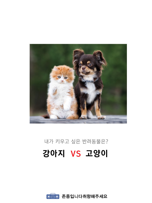 강아지vs고양이 | 인스티즈