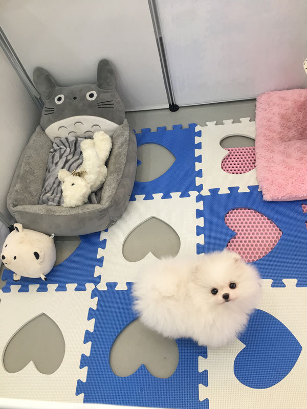 조그만카페 이미지