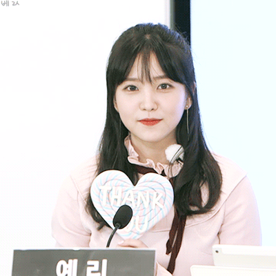 레드벨벳 멤버 중 가장 좋아하는 멤버는? | 인스티즈