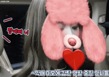 트와이스의 치명적인 고질병 | 인스티즈