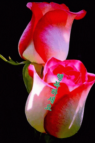 당신의 재치에 감탄하며 놓고가는 움짤 모음.gif | 인스티즈