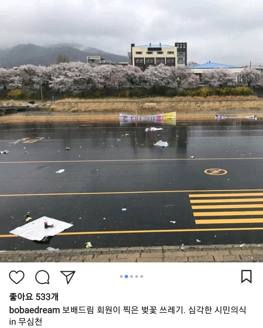 벚꽃축제 시민의식 근황.jpg | 인스티즈