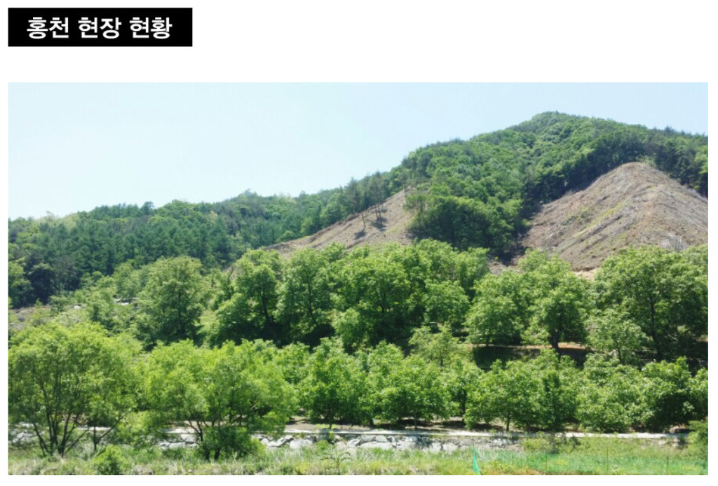 연호두 이미지