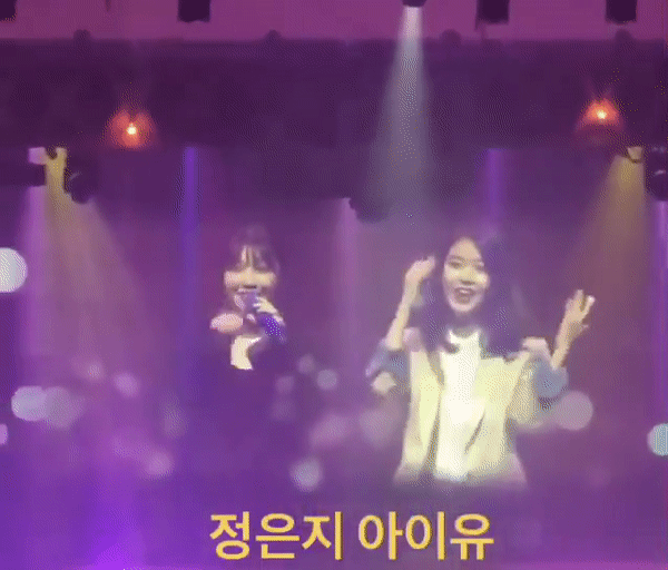 정은지 콘서트 게스트 아이유.gif | 인스티즈