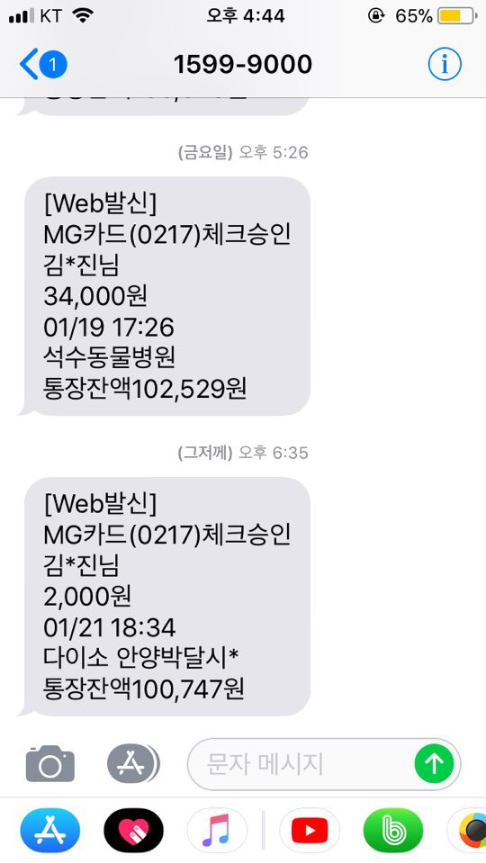 박스안에서 버려진채 떨고있던 고양이 쿠키를 도와주세요! +따뜻한 가족이되어줄 입양처를 찾습니다! | 인스티즈