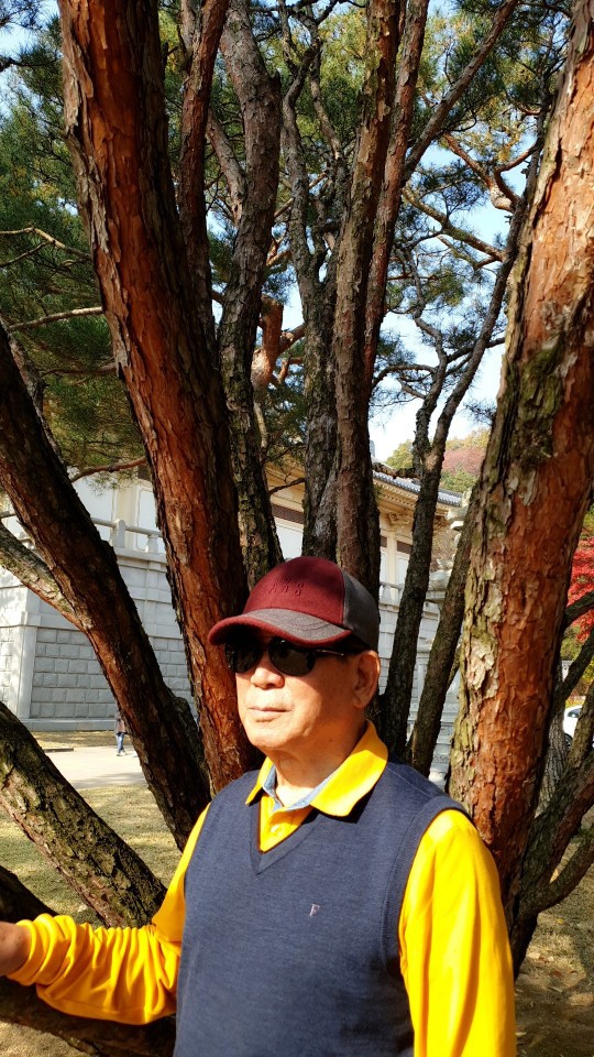 호암정원 이미지