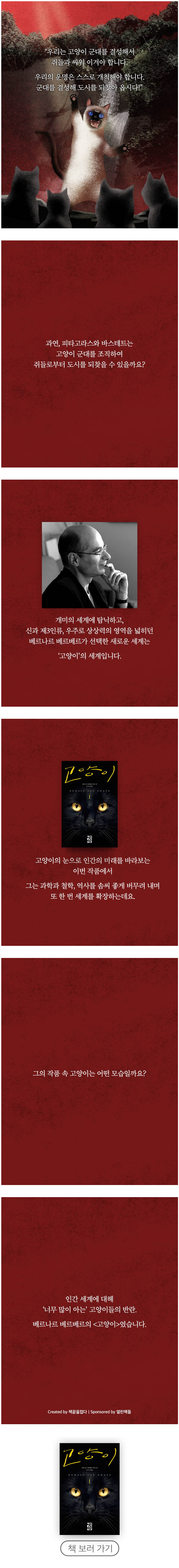머리에 USB가 연결된 고양이 | 인스티즈